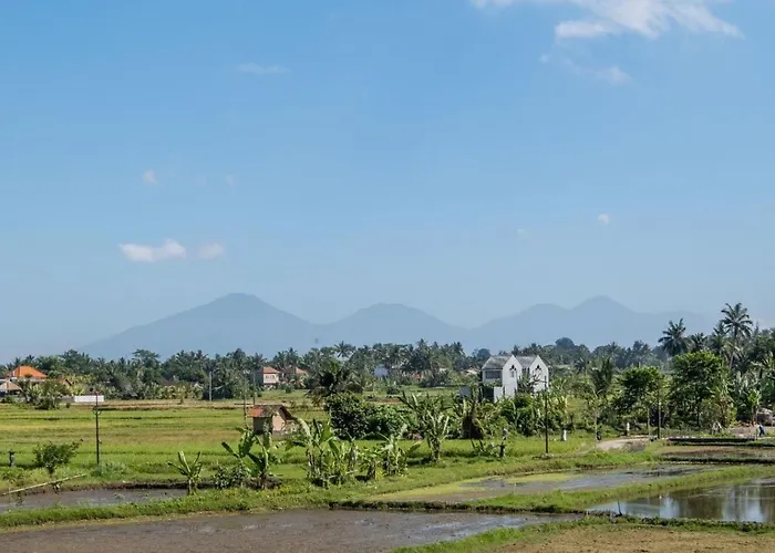 别墅 Cakra - 4 Bedroom Luxury With Infinity Pool And Paddy Field View 乌布